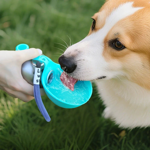 Collapsible Stainless Steel Pet Water Bottle
